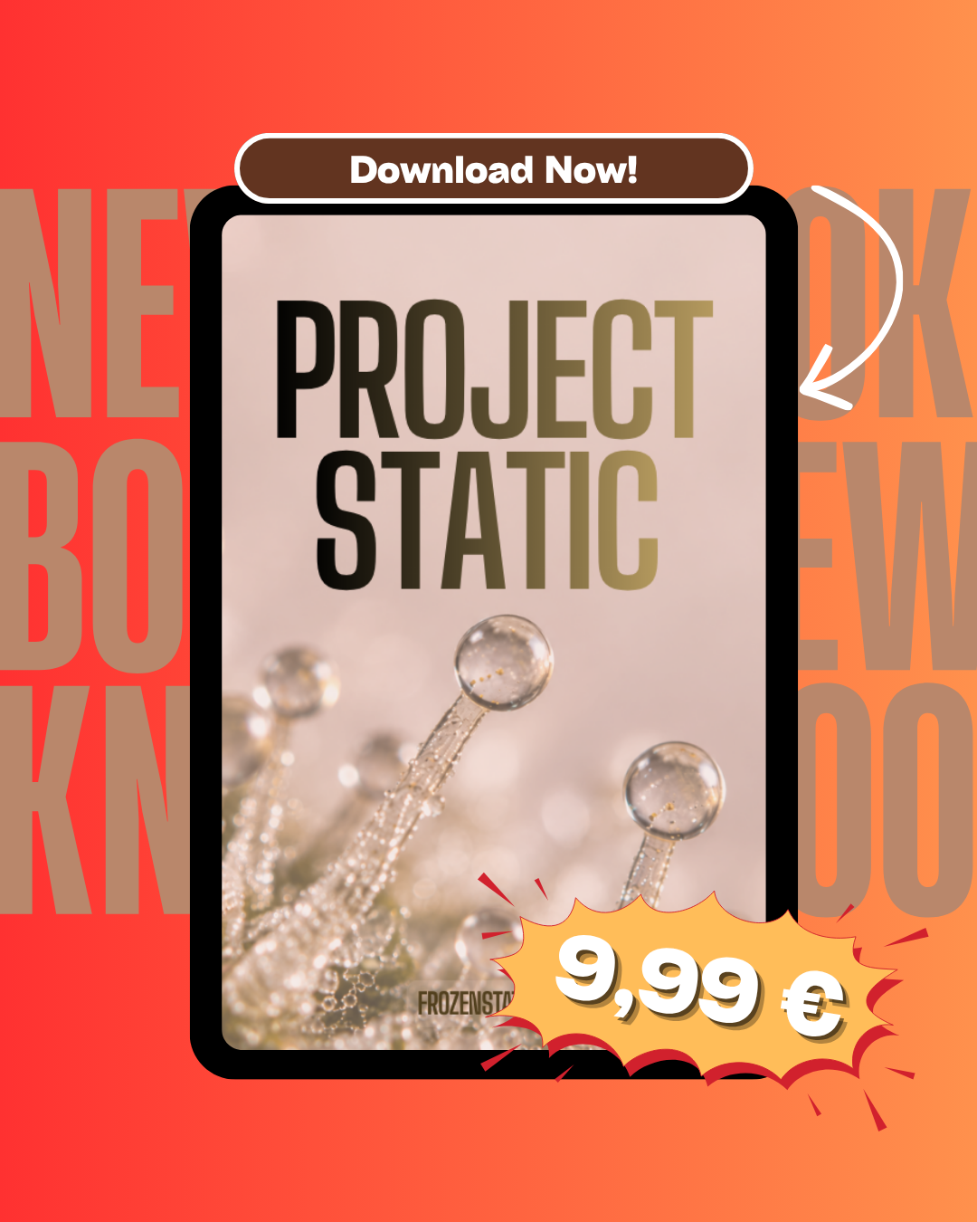 ProjectStatic Buchvorstellung